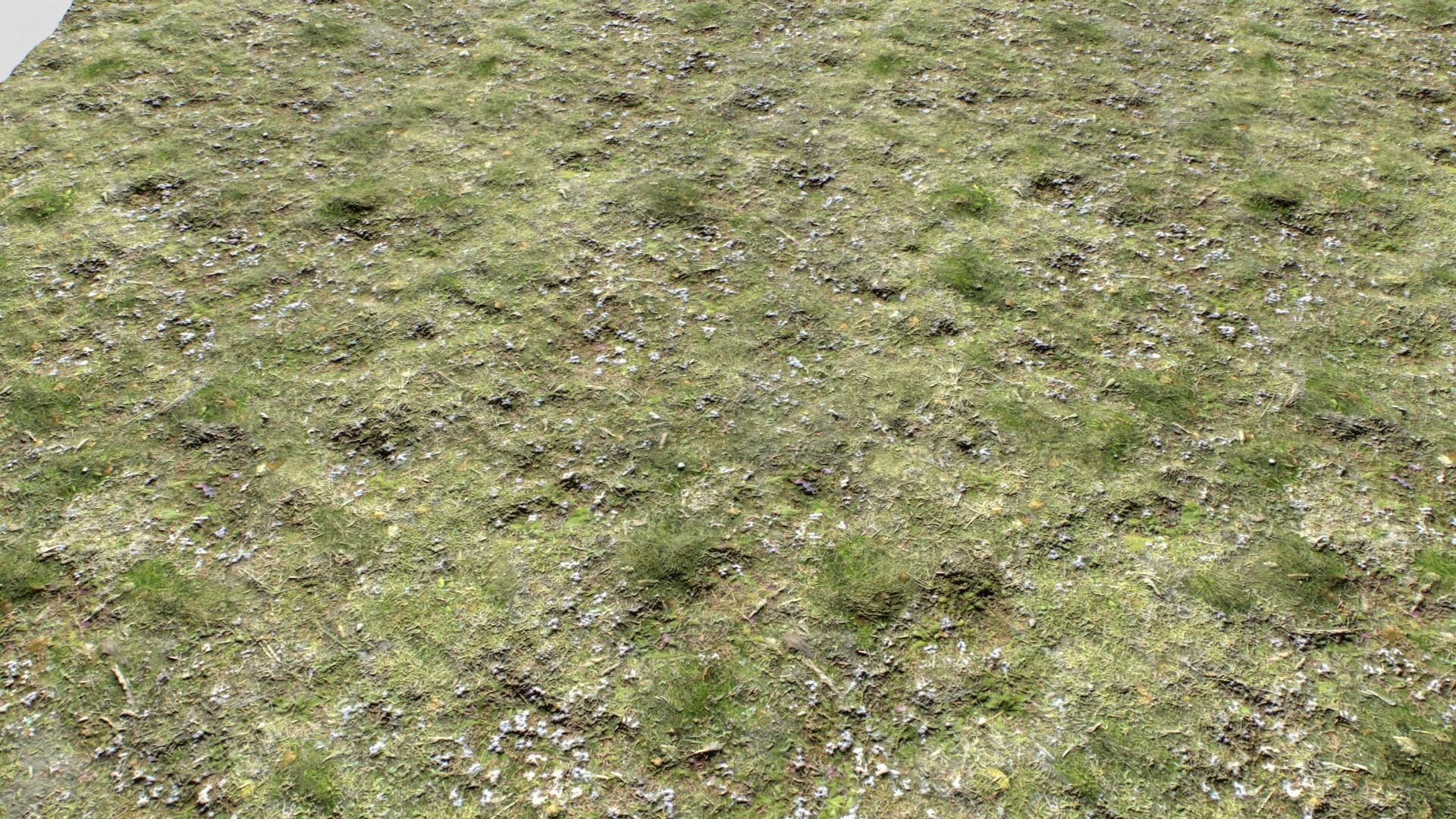 Dirty Grass Texture Set Texture_14