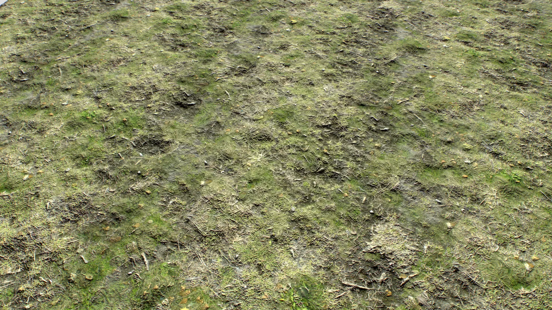 Dirty Grass Texture Set Texture_0