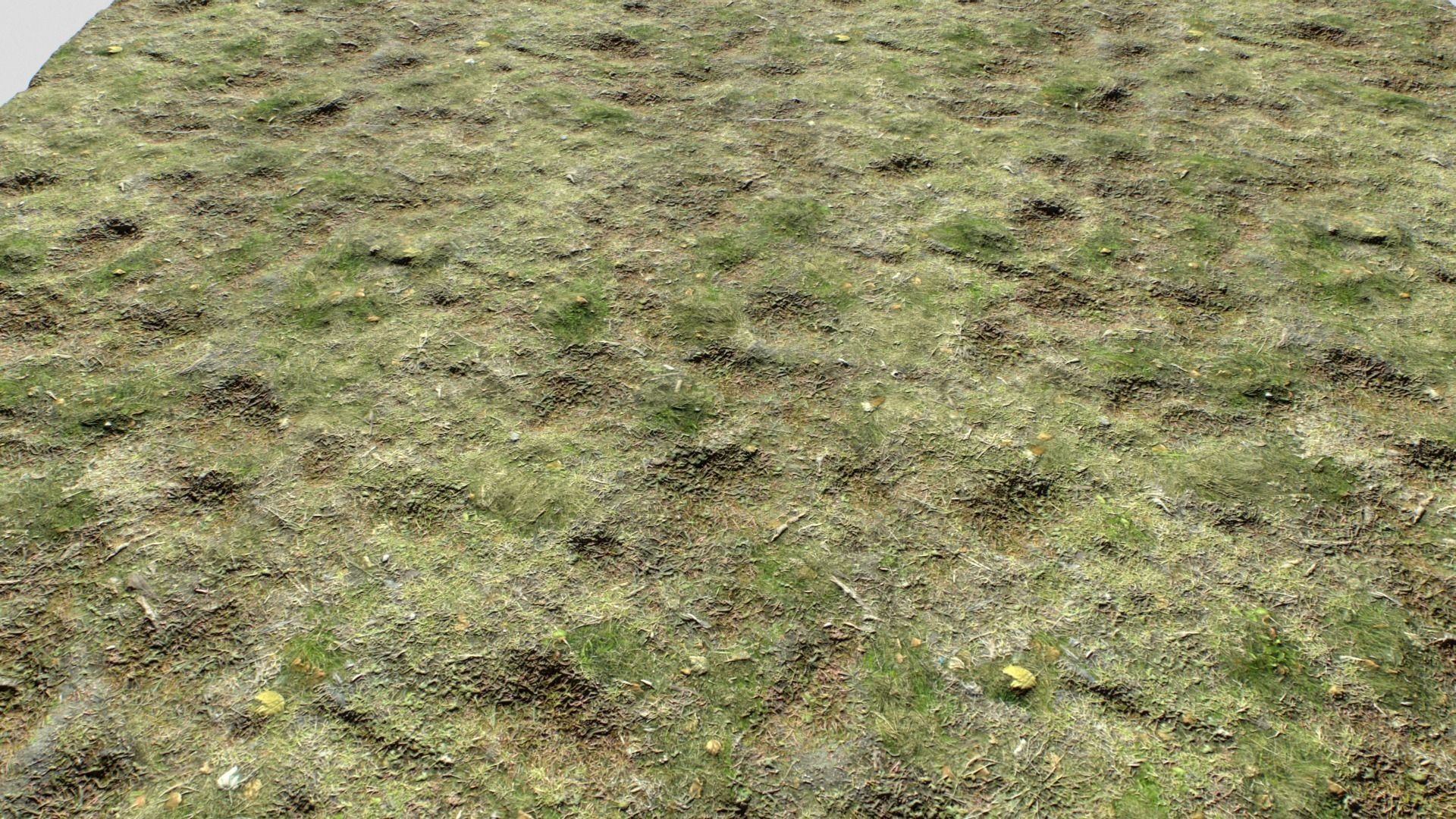 Dirty Grass Texture Set Texture_10