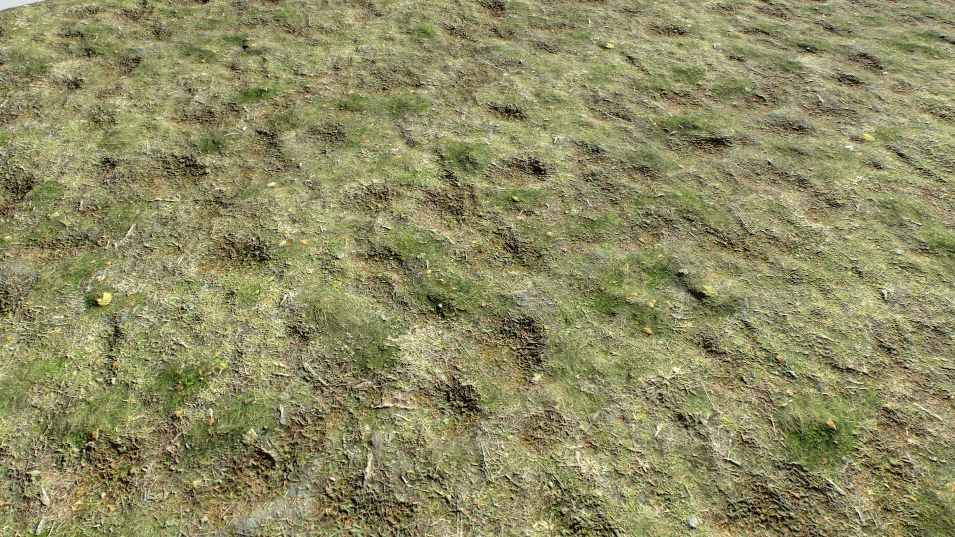 Dirty Grass Texture Set Texture_9