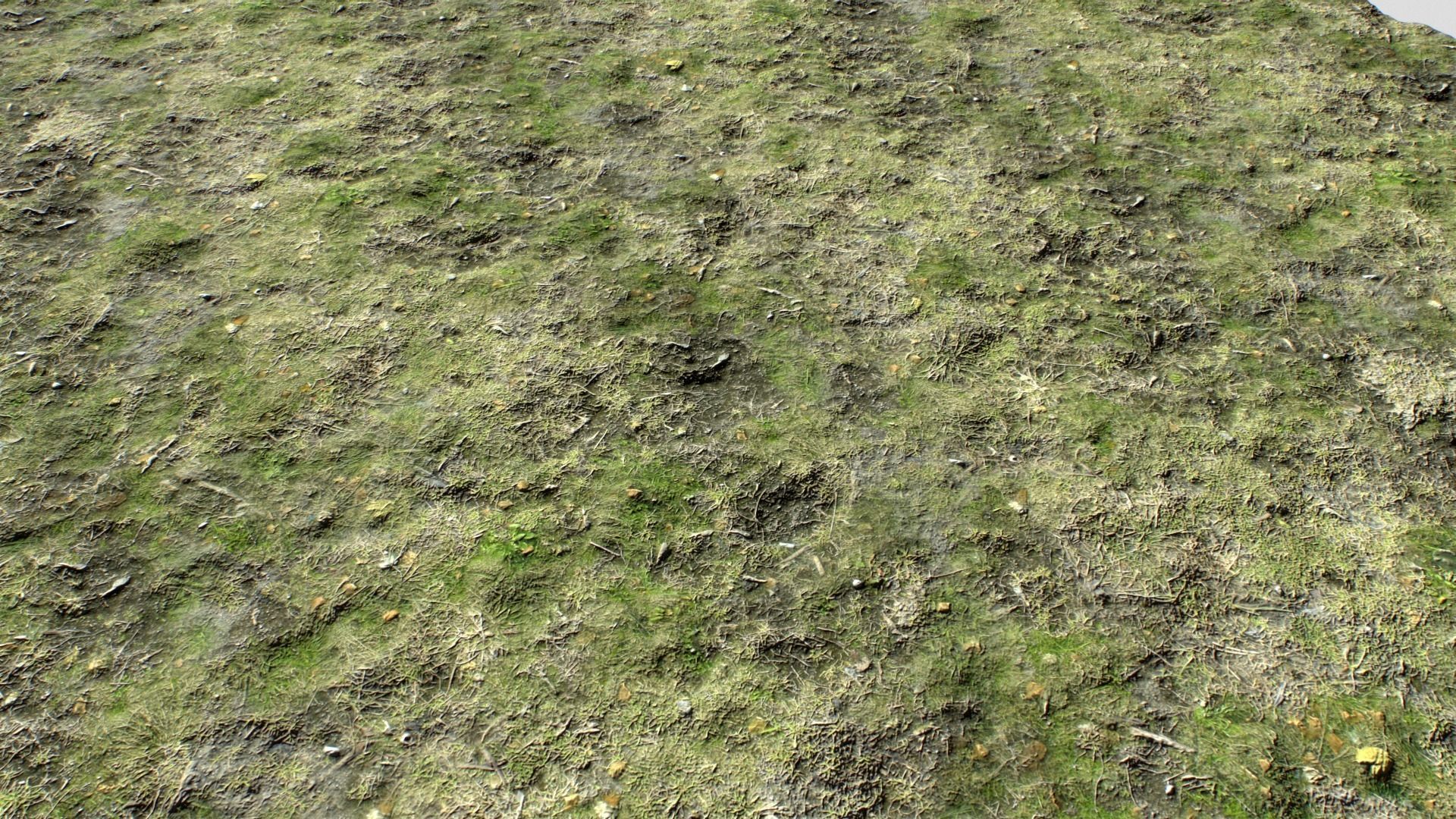 Dirty Grass Texture Set Texture_2