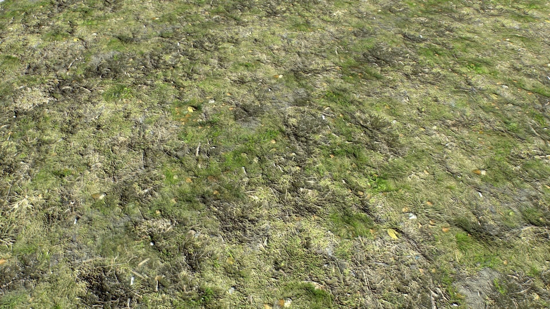 Dirty Grass Texture Set Texture_4