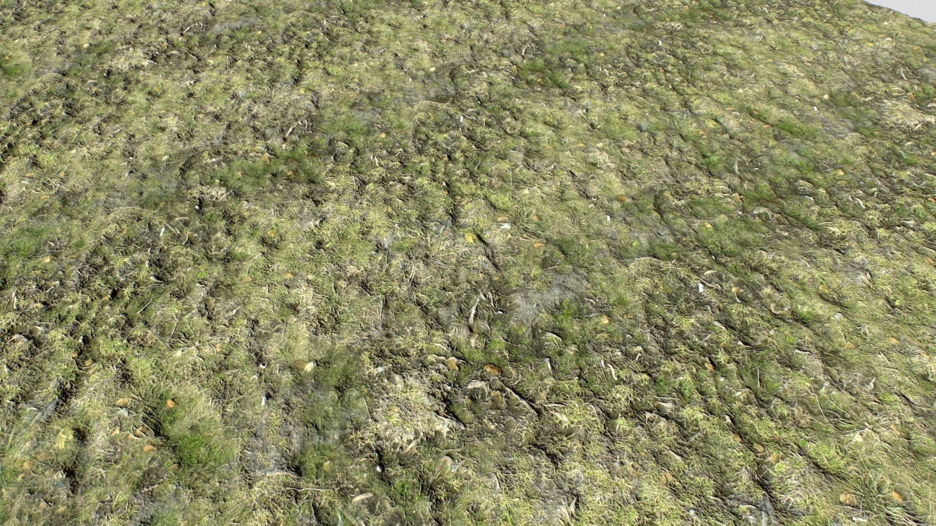 Dirty Grass Texture Set Texture_8