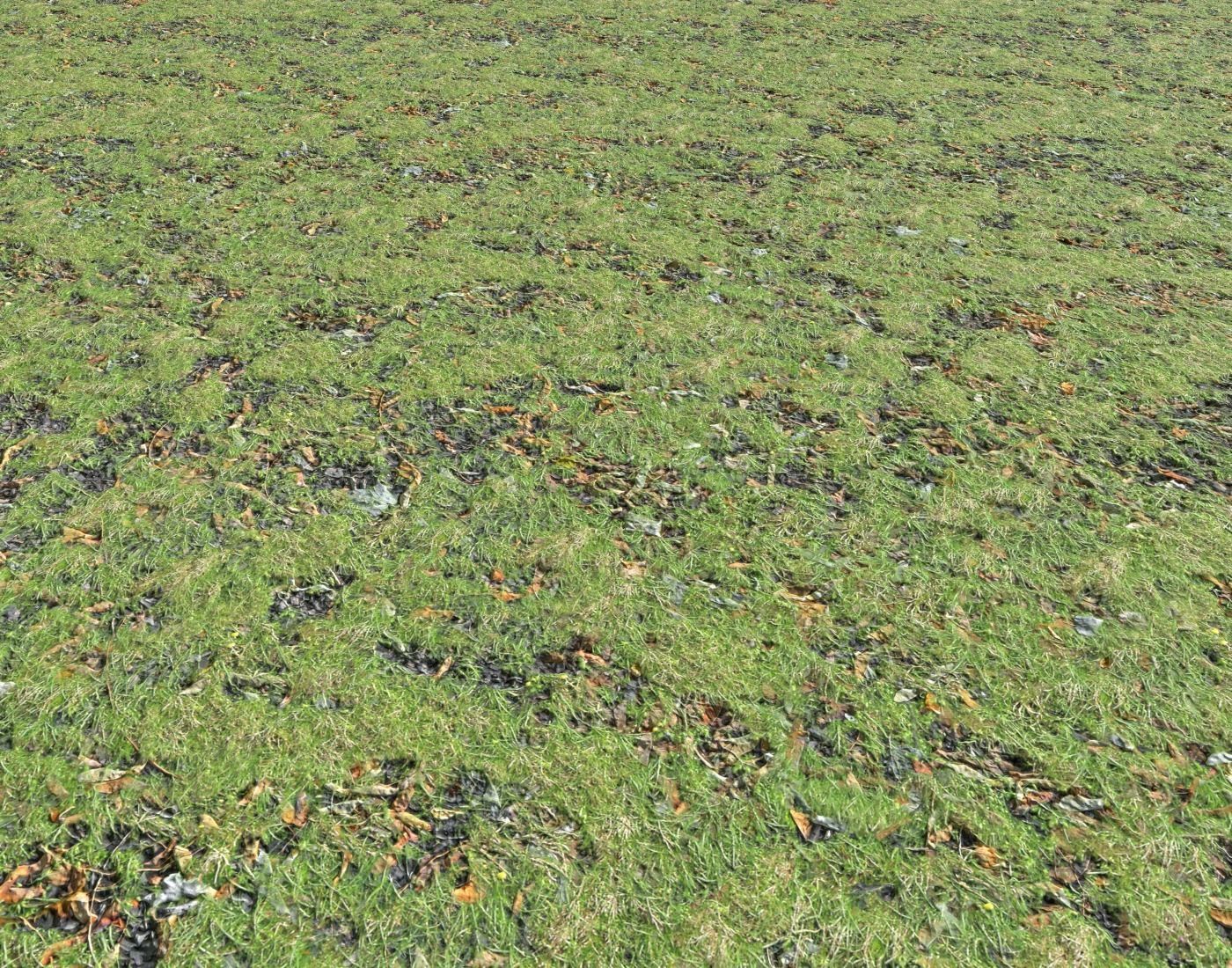 Grass and leaves seamless 5 Texture_4