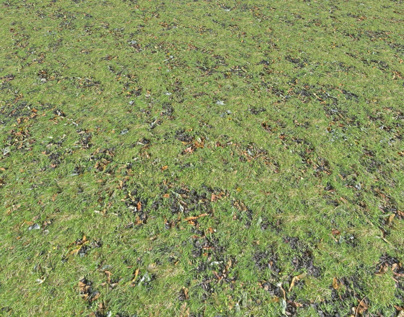 Grass and leaves seamless 5 Texture_3