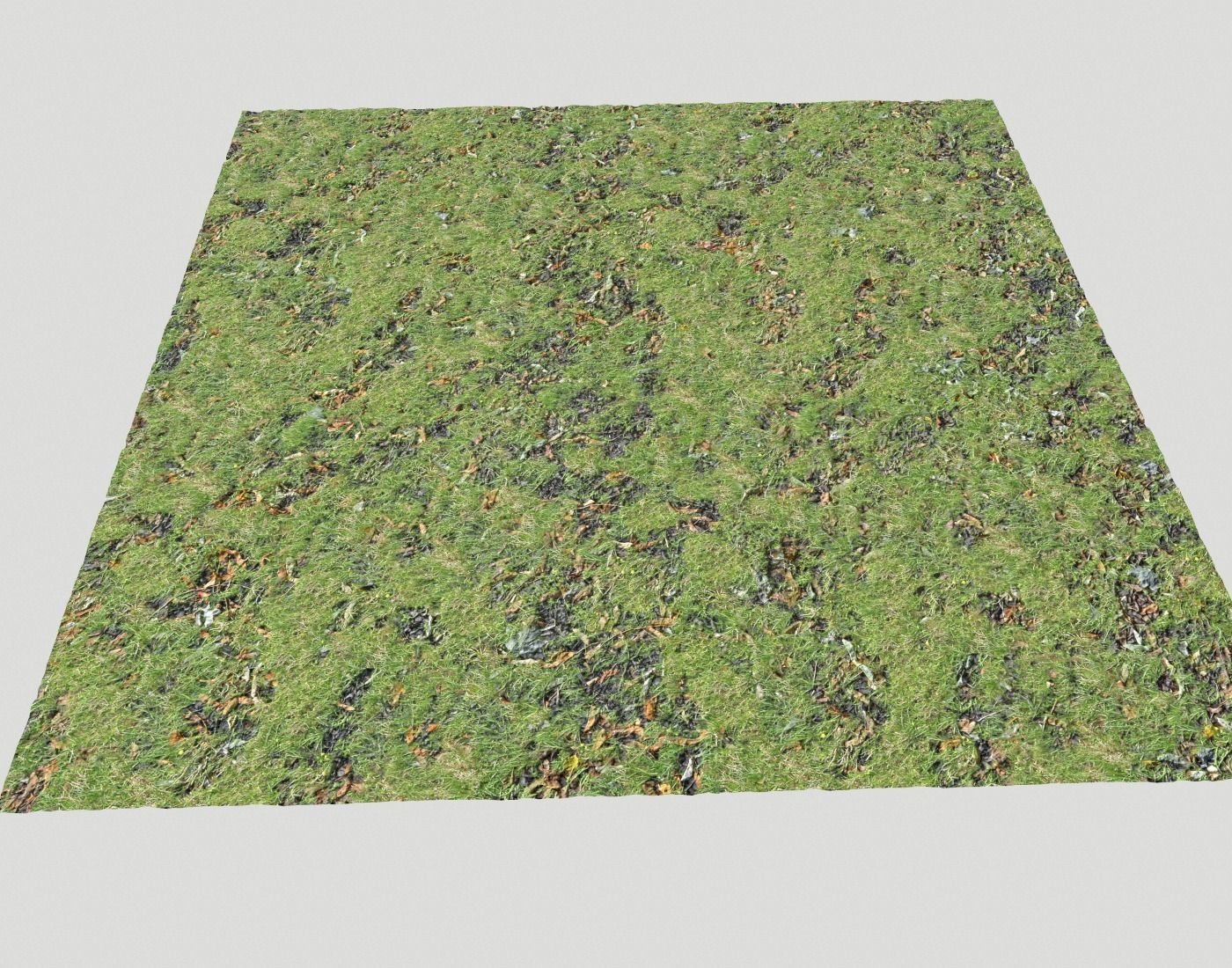 Grass and leaves seamless 5 Texture_5