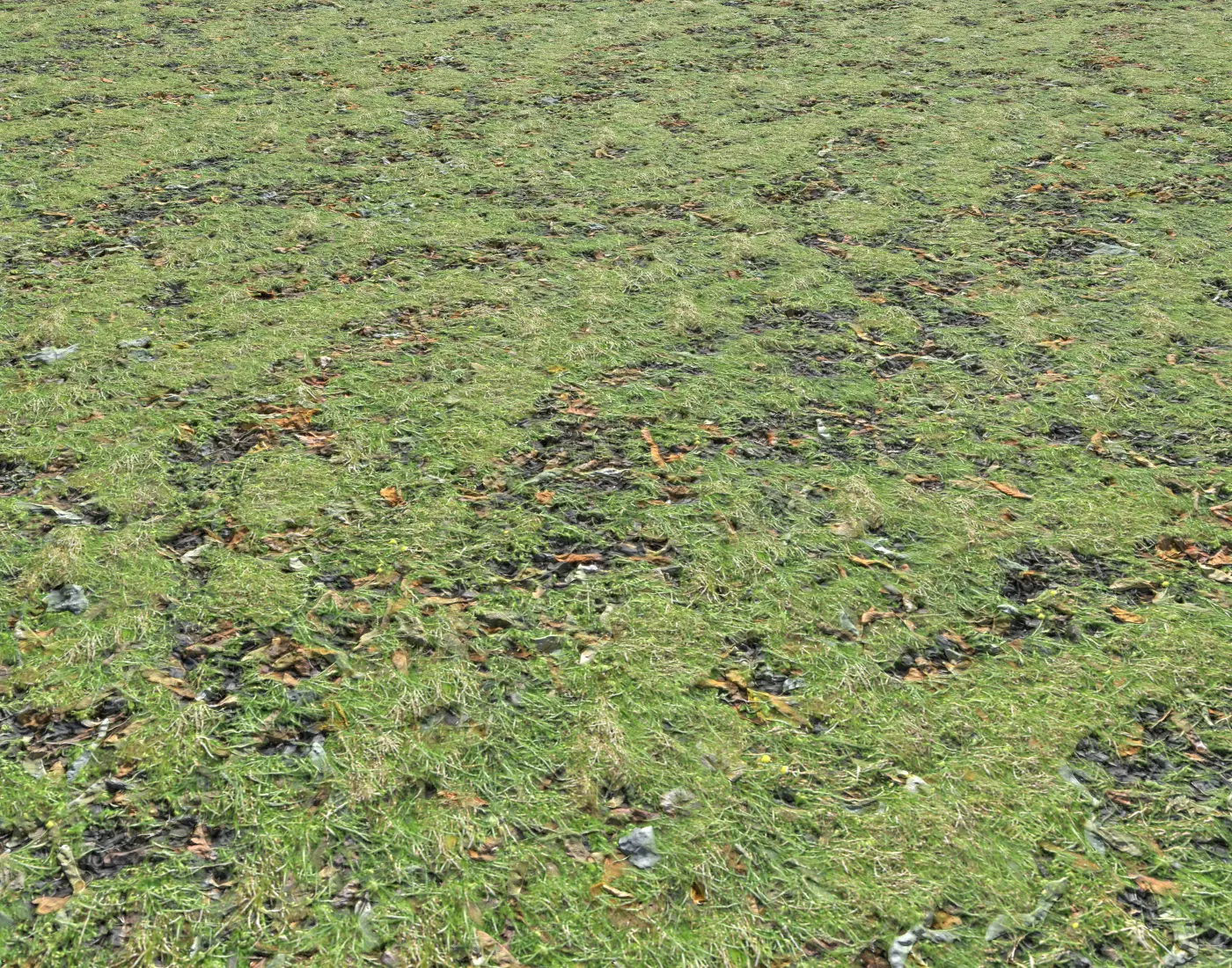 Grass and leaves seamless 5 Texture_0