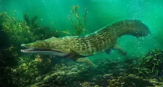 Trematosaurus brauni