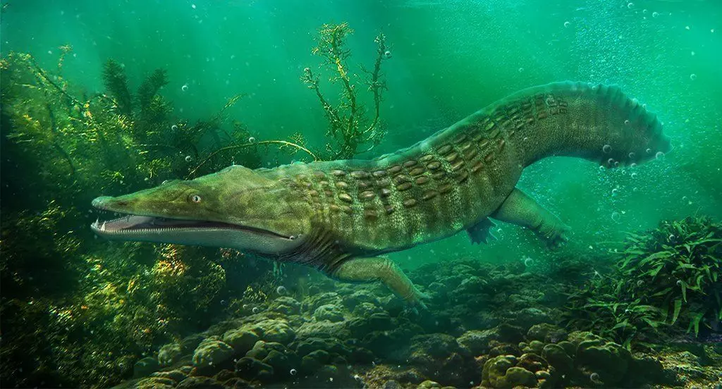 Trematosaurus brauni Low-poly 3D model_0