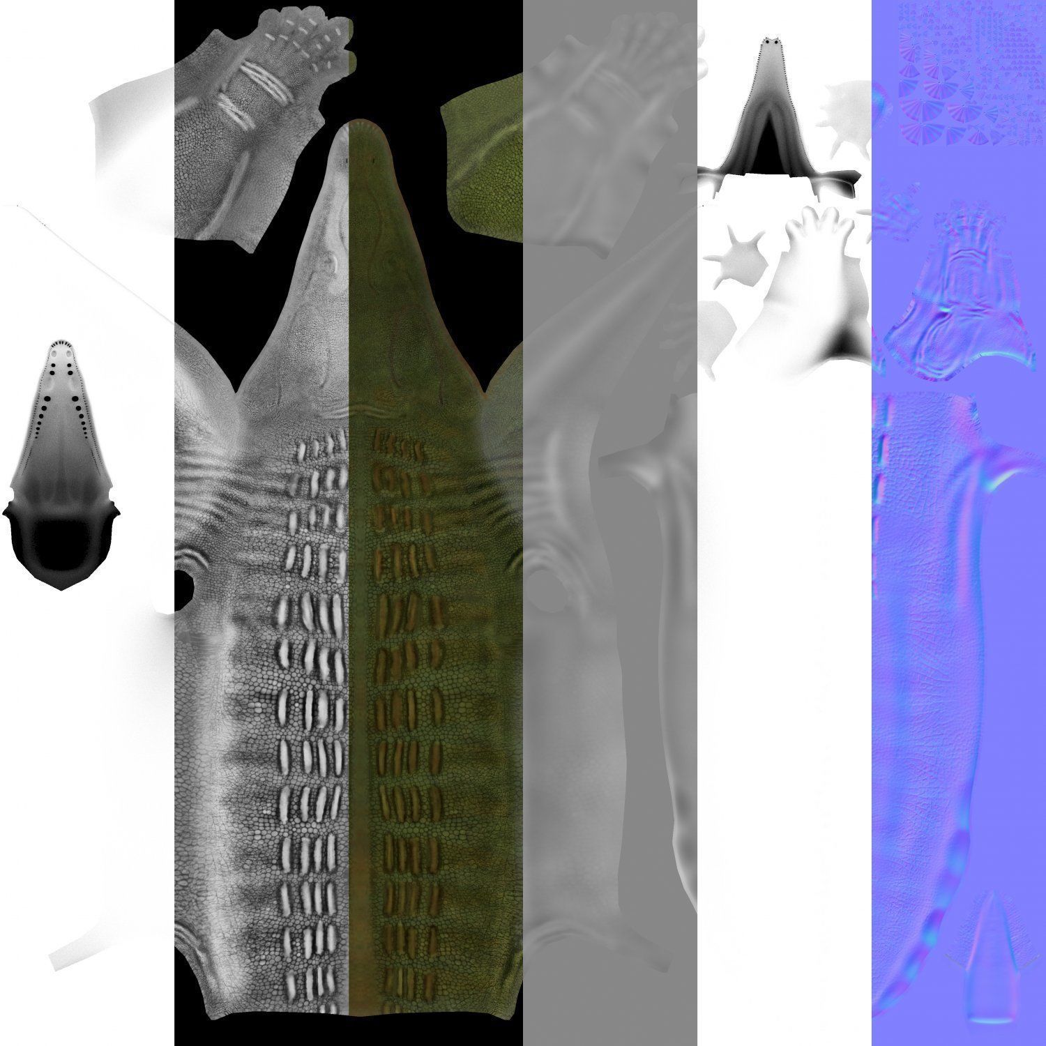 Trematosaurus brauni Low-poly 3D model_2