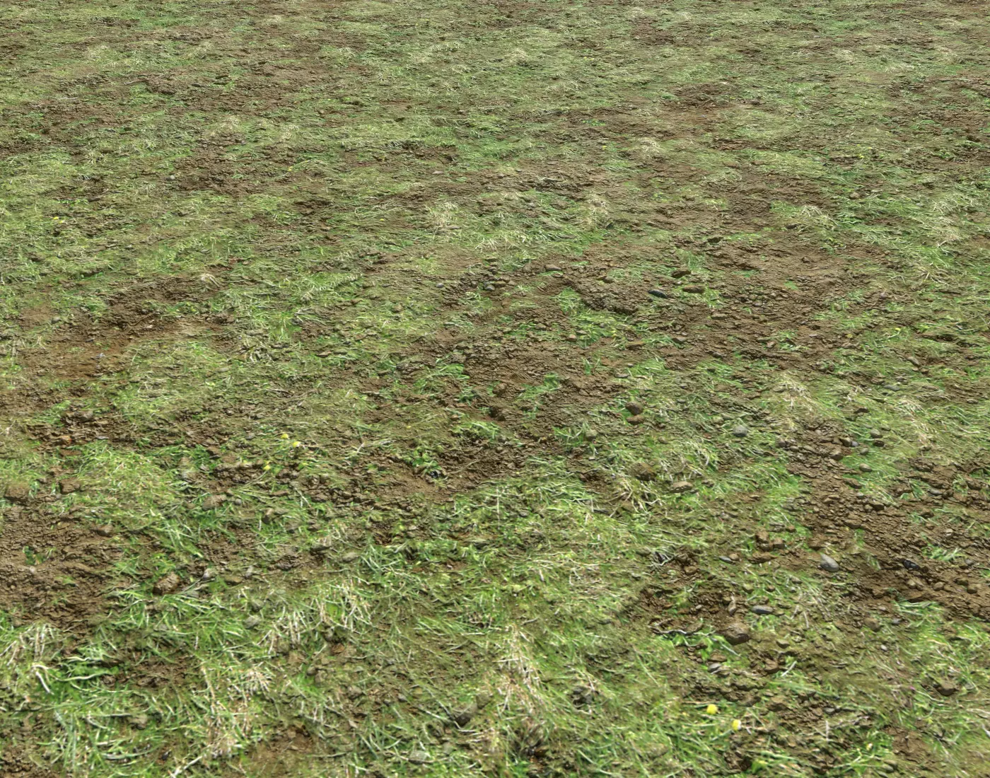 Soil and grass 6 Texture