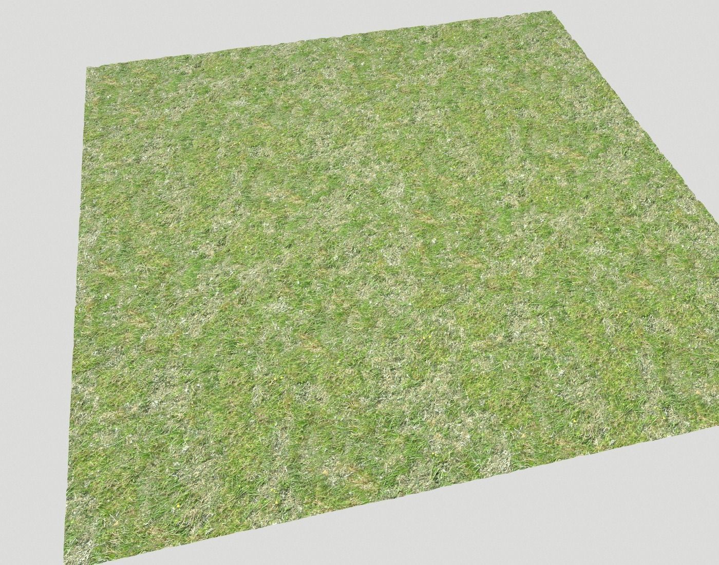 Grass terrain seamless 7 Texture_6