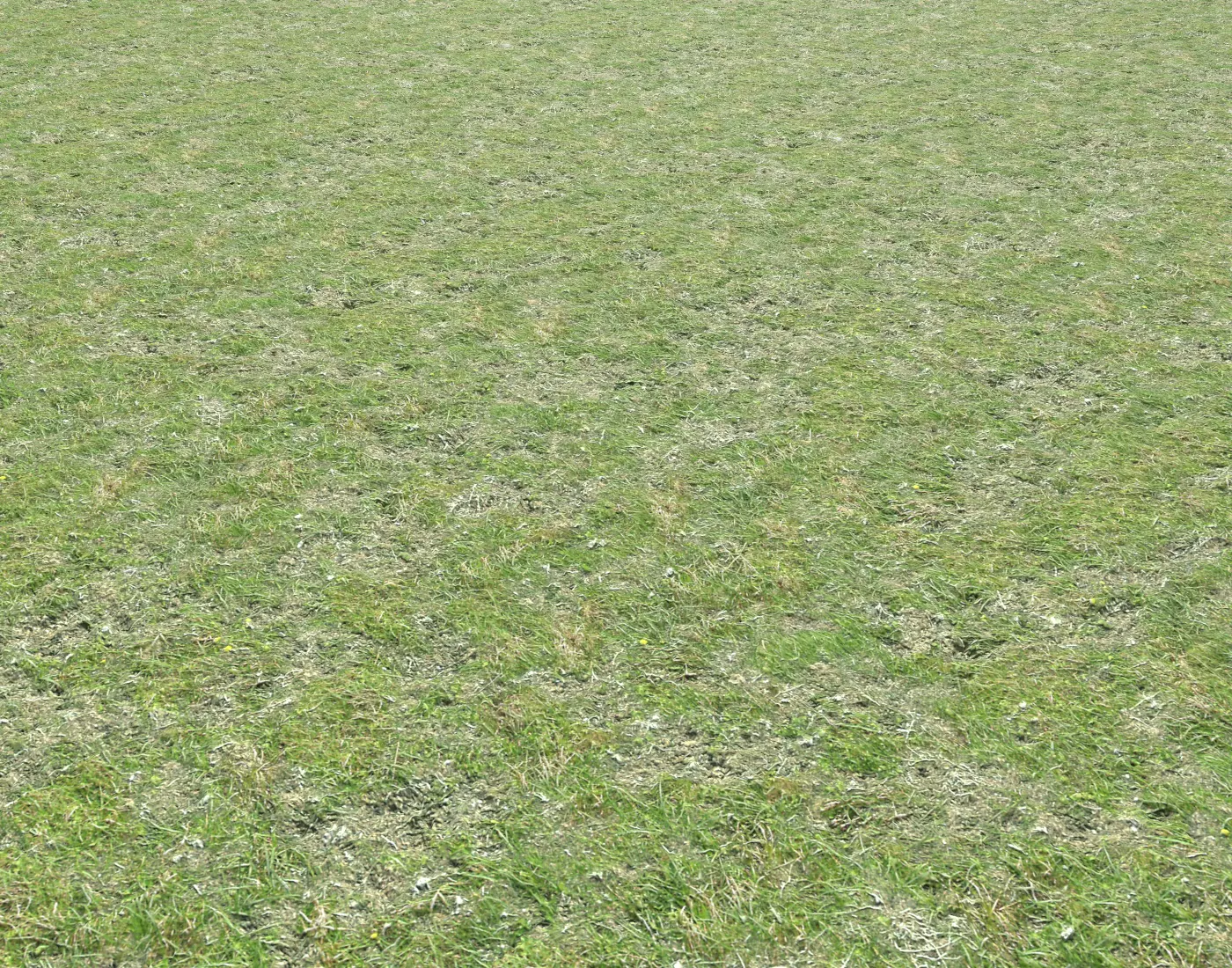 Grass terrain seamless 7 Texture_0