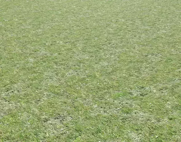 Grass terrain seamless 7