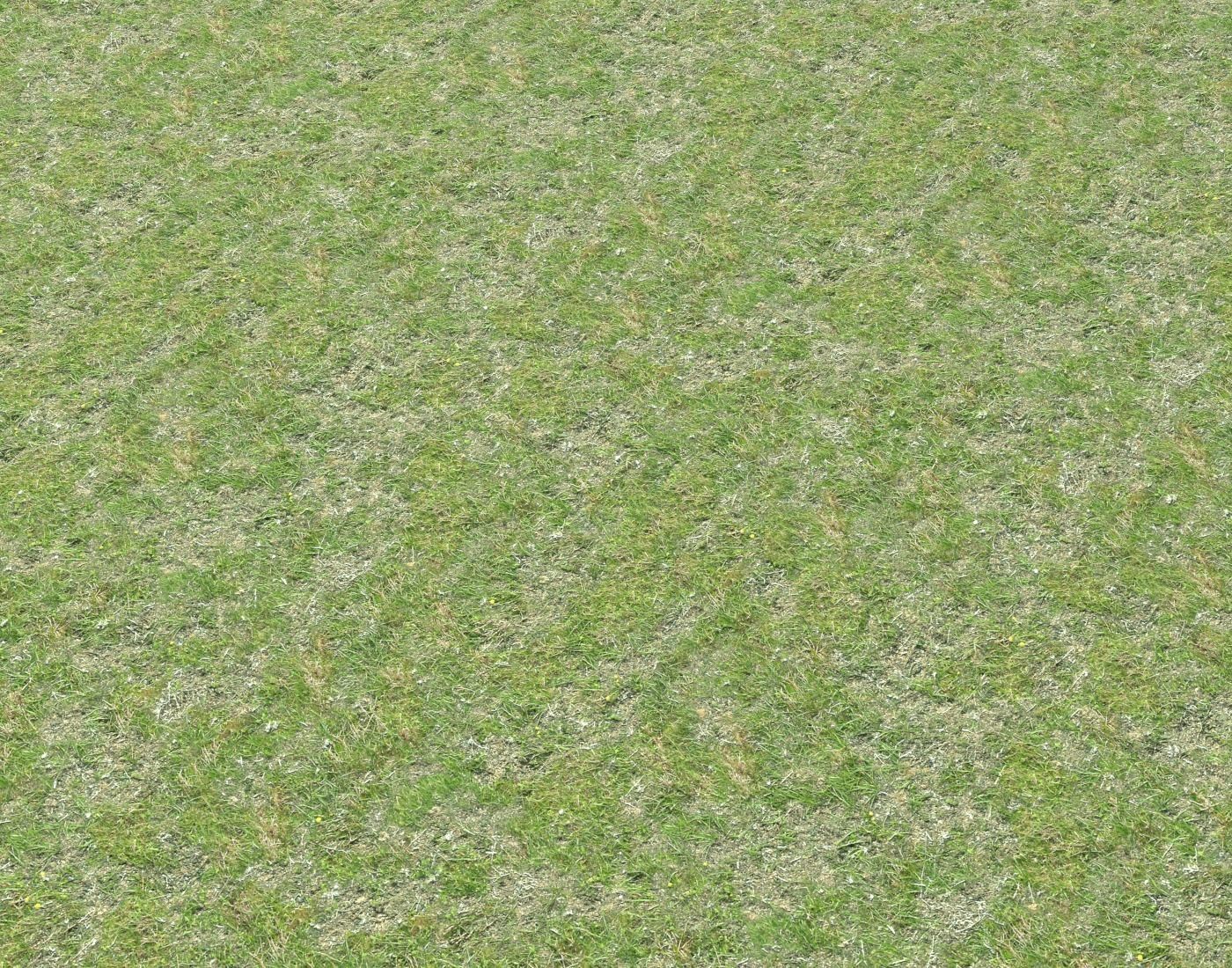 Grass terrain seamless 7 Texture_4