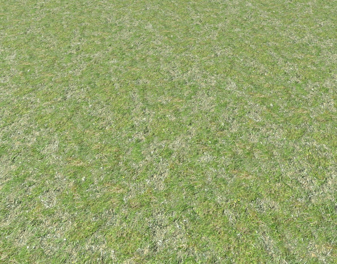 Grass terrain seamless 7 Texture_2