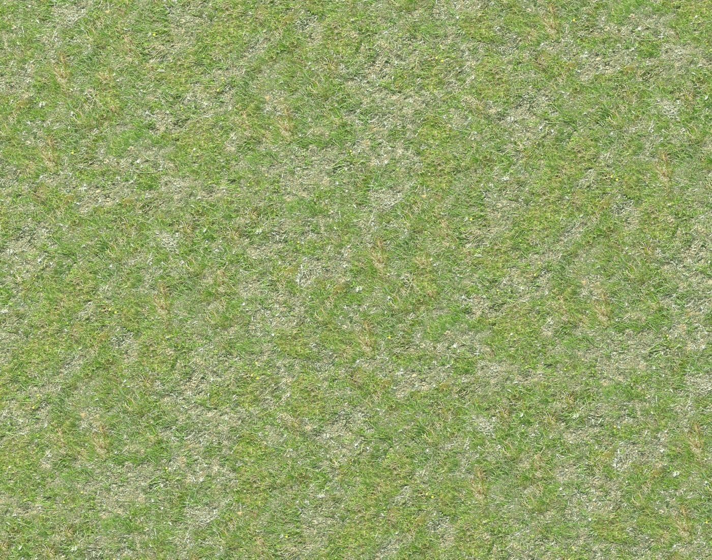 Grass terrain seamless 7 Texture_5