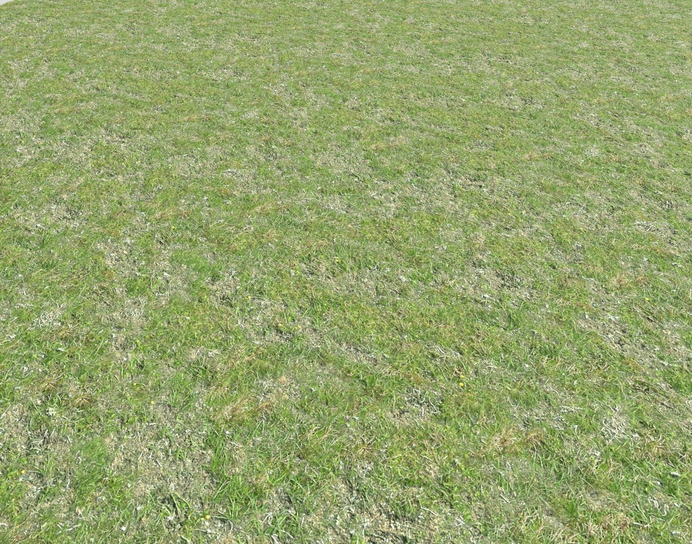 Grass terrain seamless 7 Texture_3