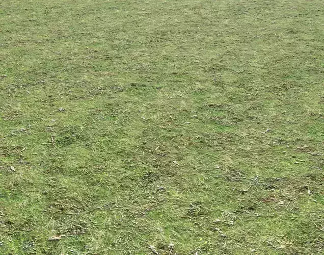 Grass terrain 8 Texture
