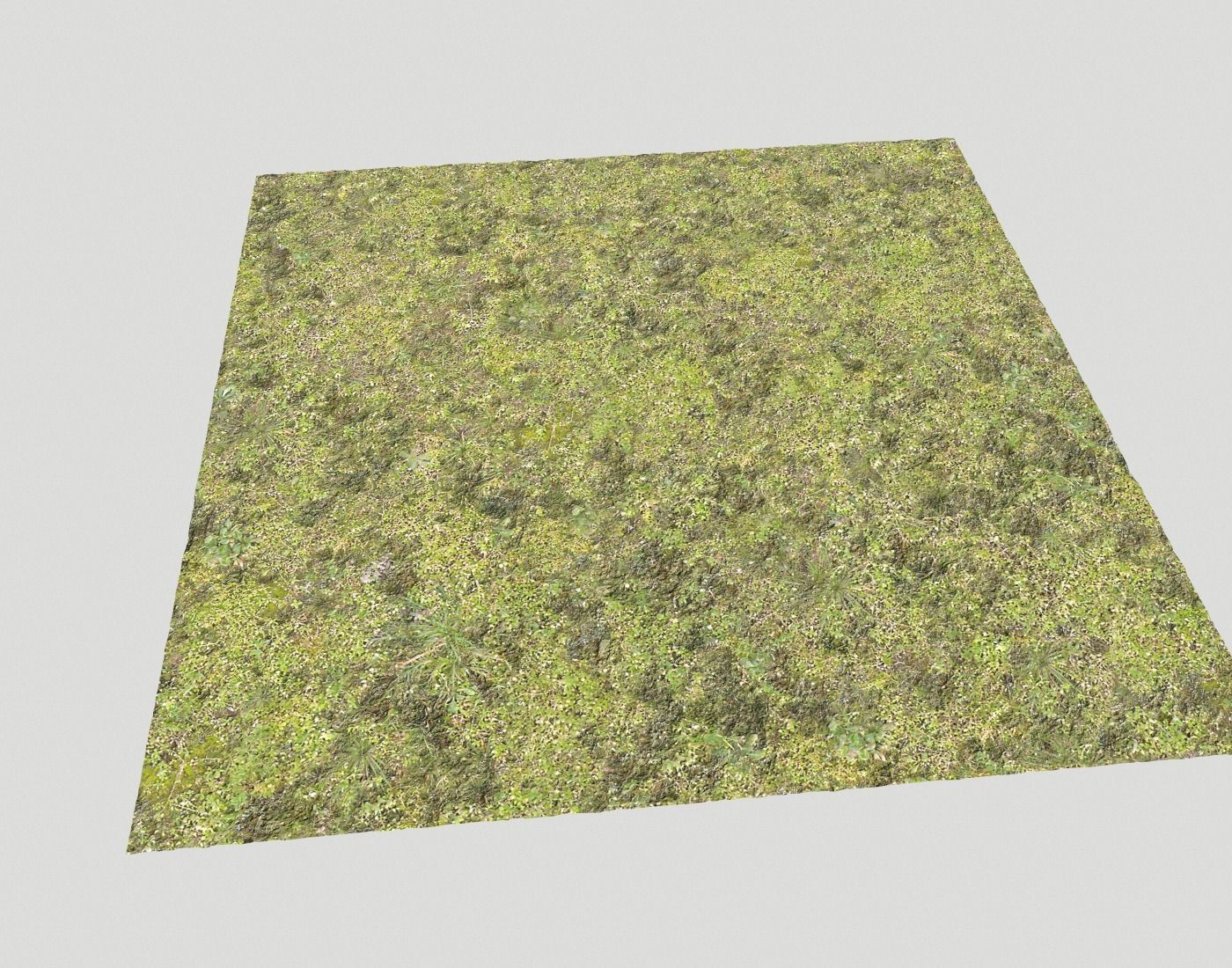 Mossy grass terrain 11 Texture_5