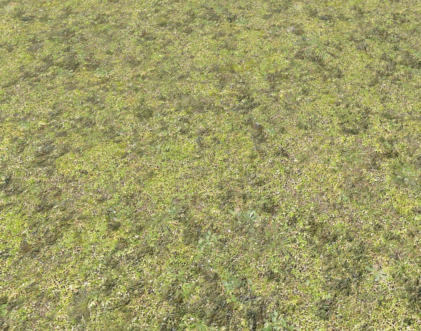 Mossy grass terrain 11 Texture_3