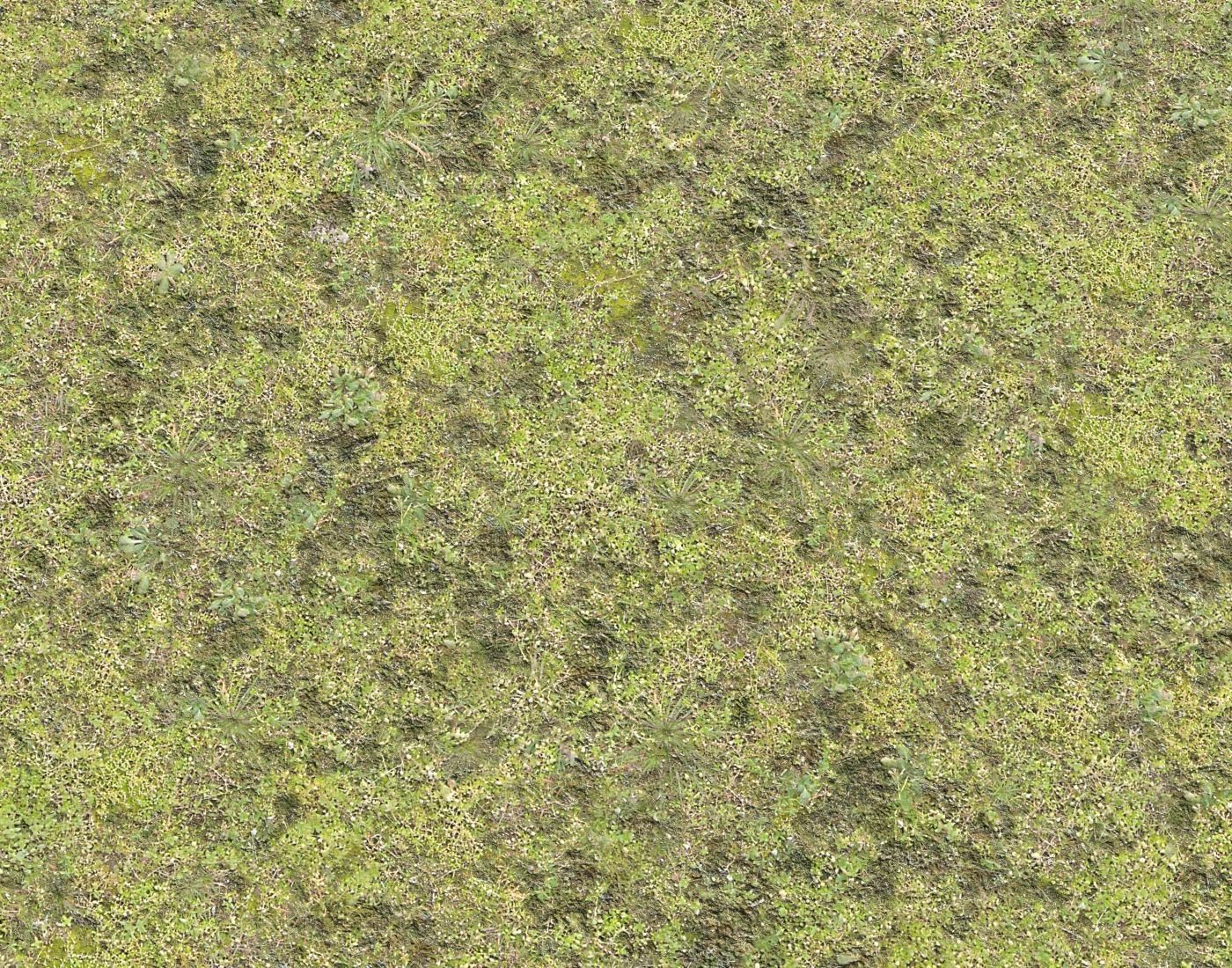 Mossy grass terrain 11 Texture_4