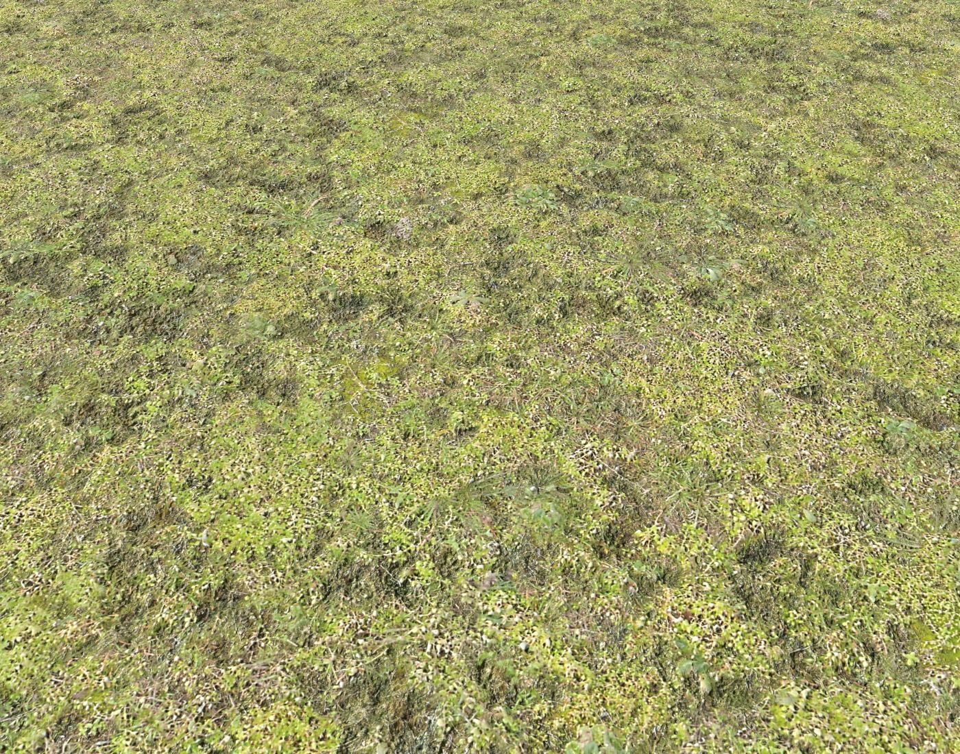 Mossy grass terrain 11 Texture_2