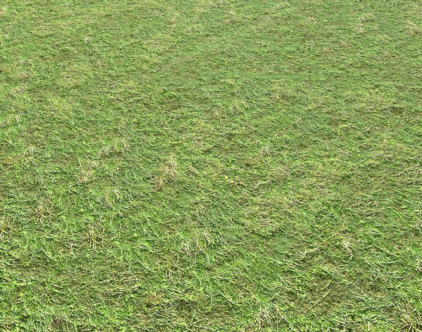 Grass terrain 1 Texture_0