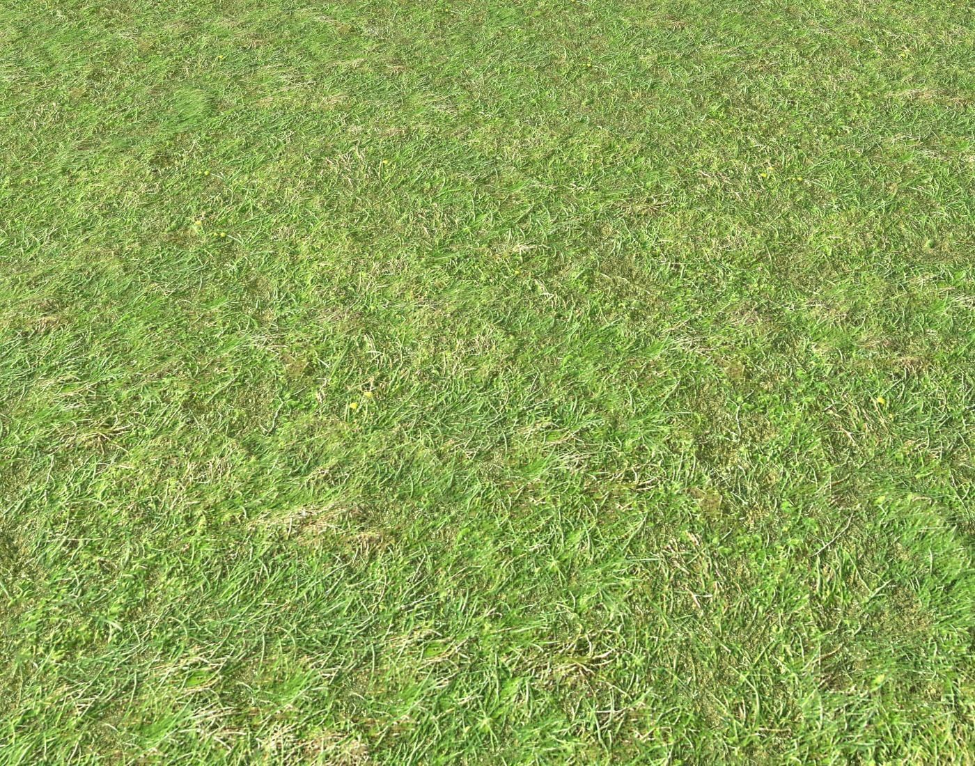 Grass terrain 1 Texture_2