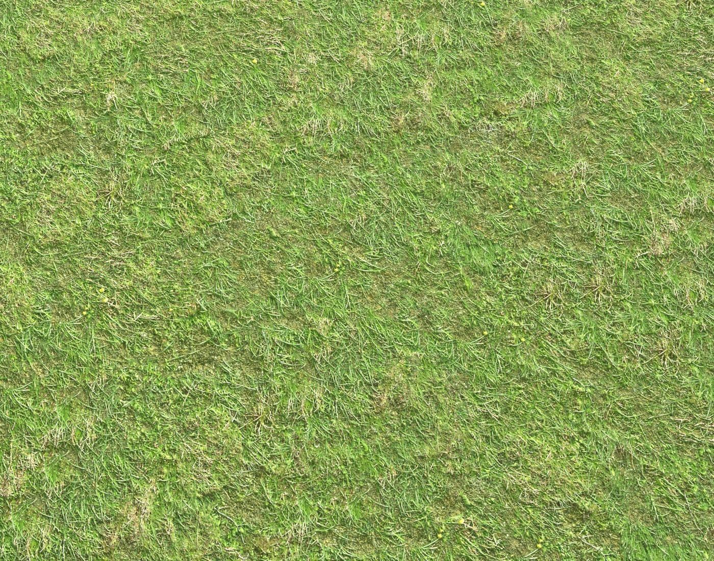 Grass terrain 1 Texture_4