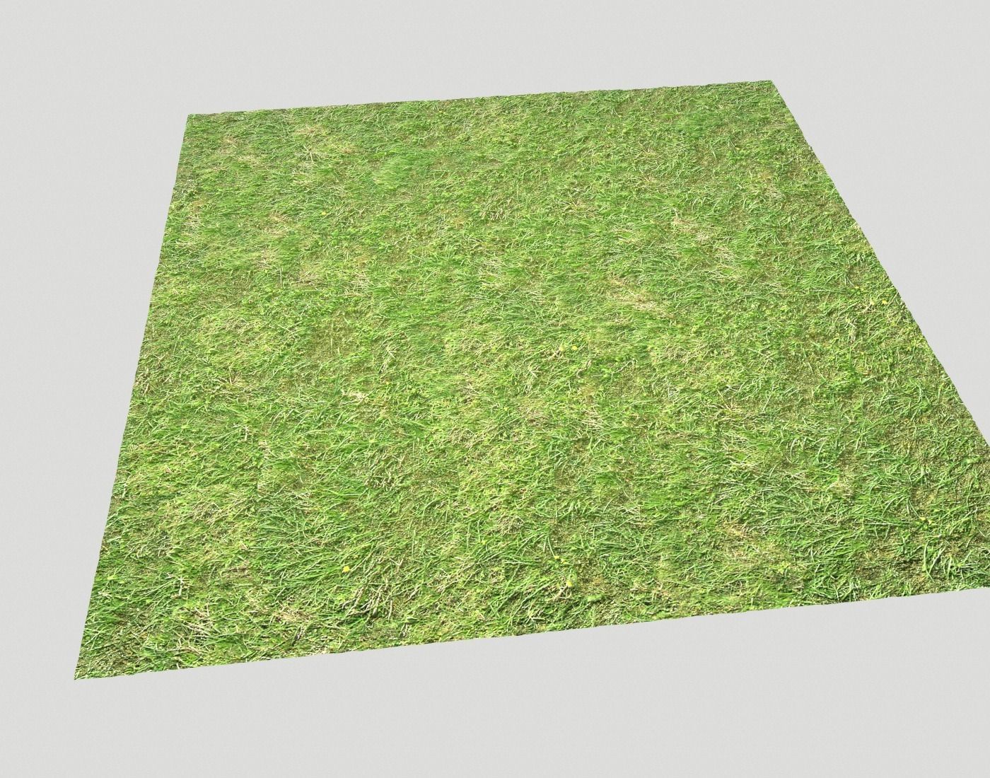 Grass terrain 1 Texture_5