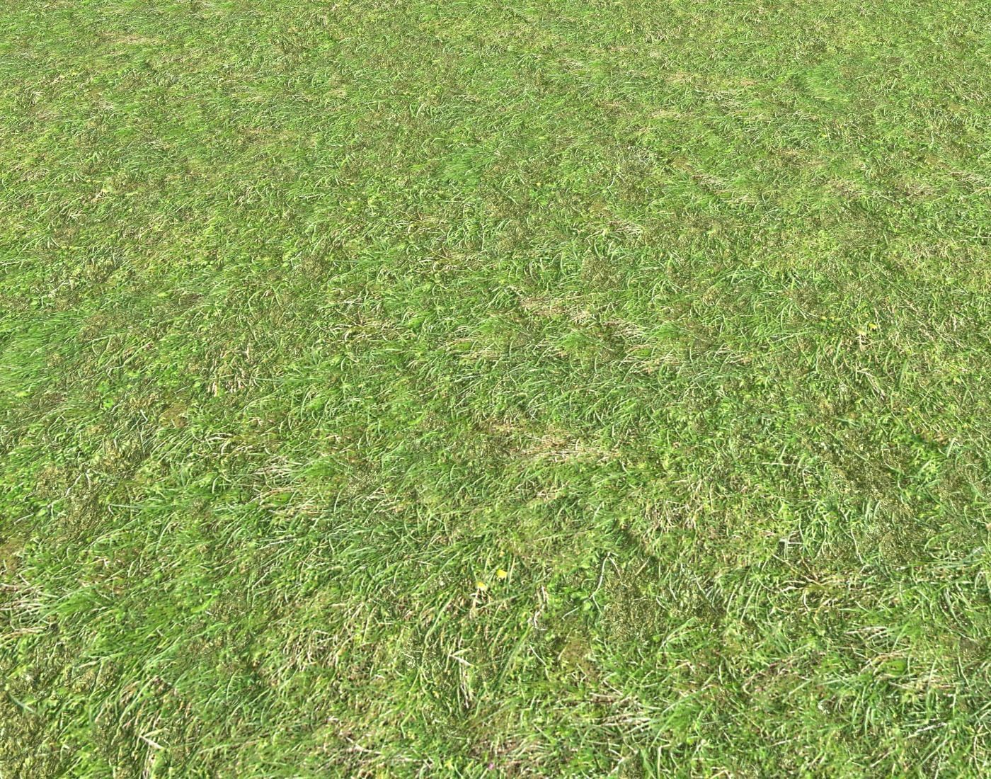 Grass terrain 1 Texture_3