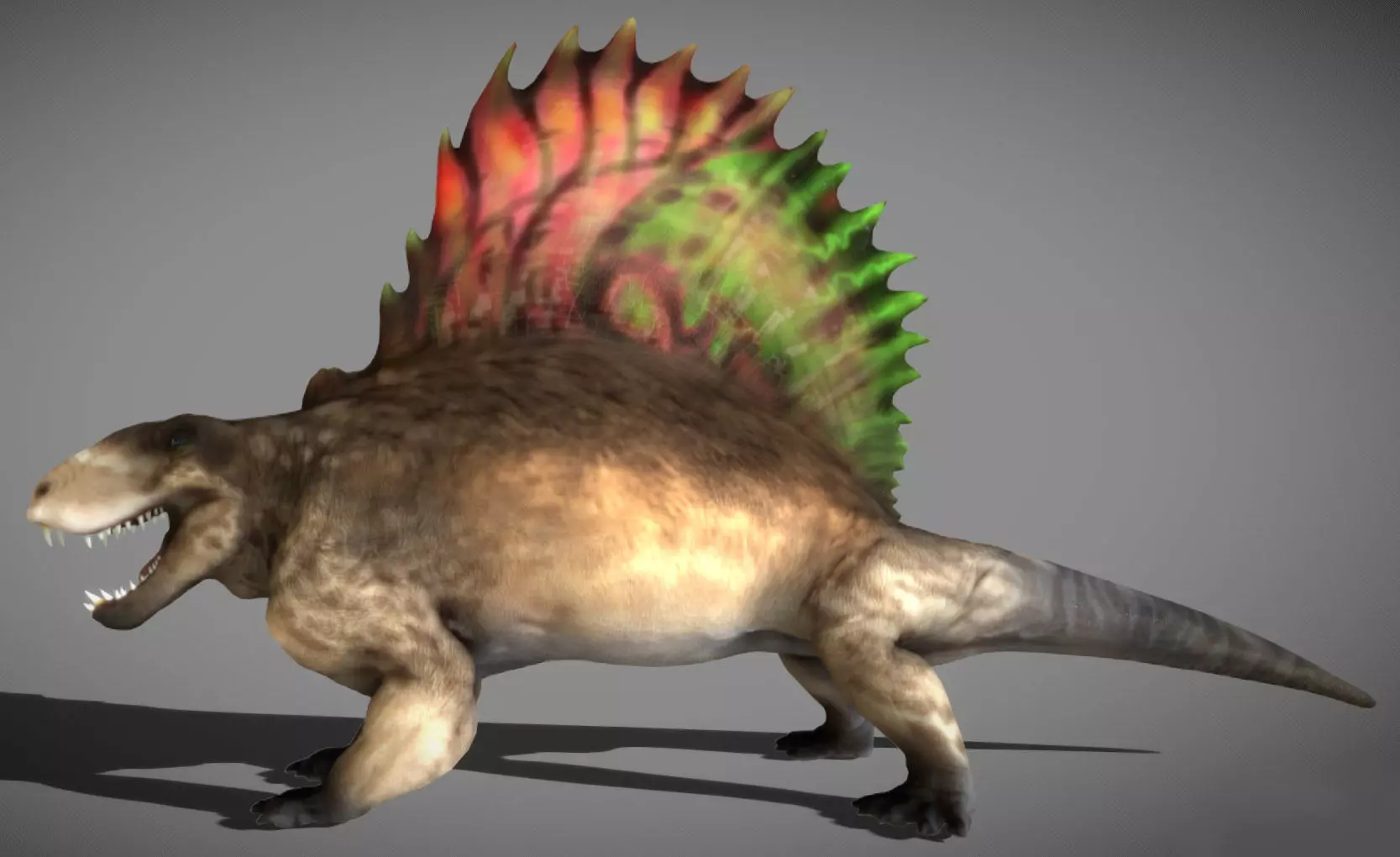 Dimetrodon  Realistic 3D Prehistoric Synapsid Low-poly 3D model_5