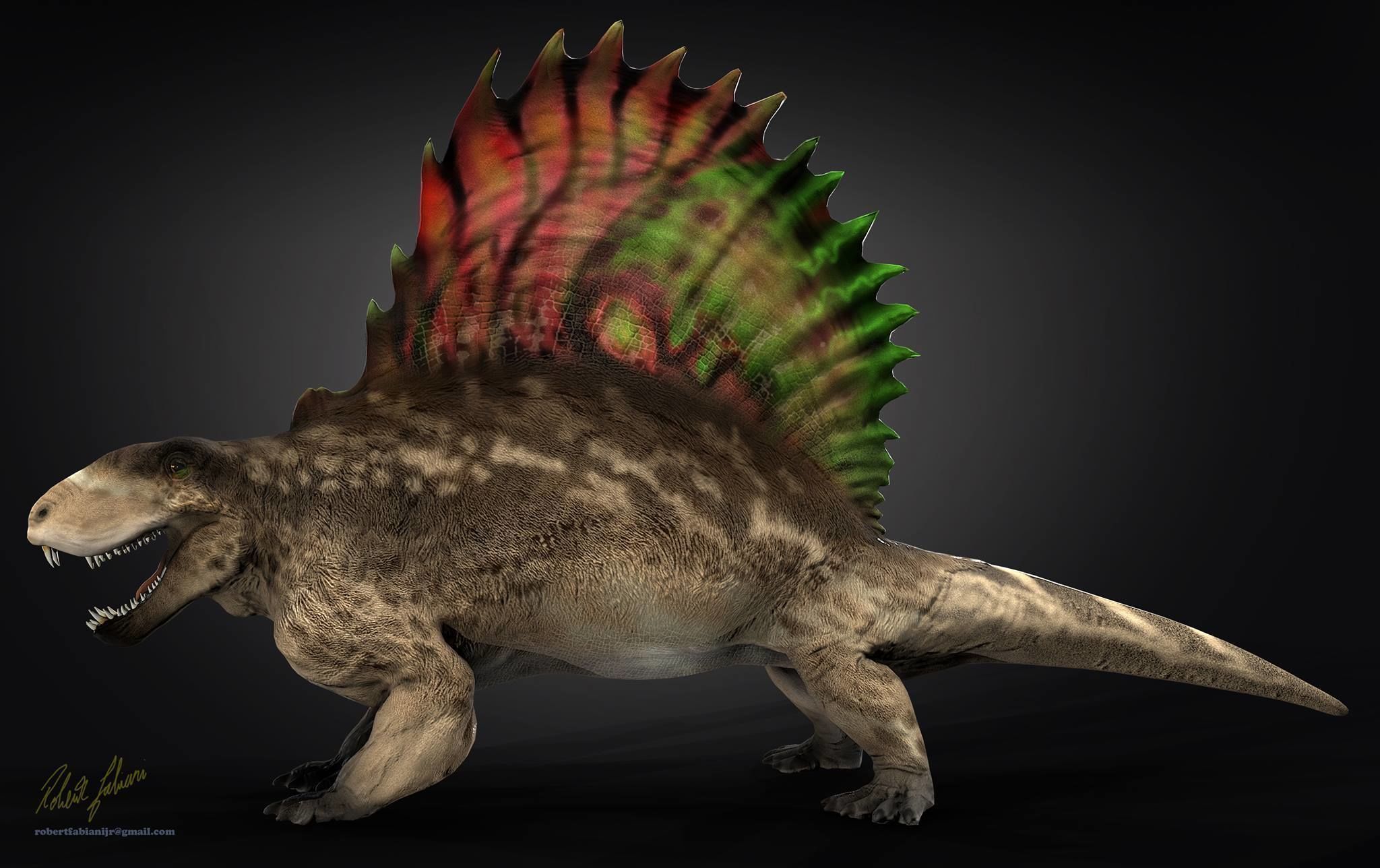 Dimetrodon  Realistic 3D Prehistoric Synapsid Low-poly 3D model_7