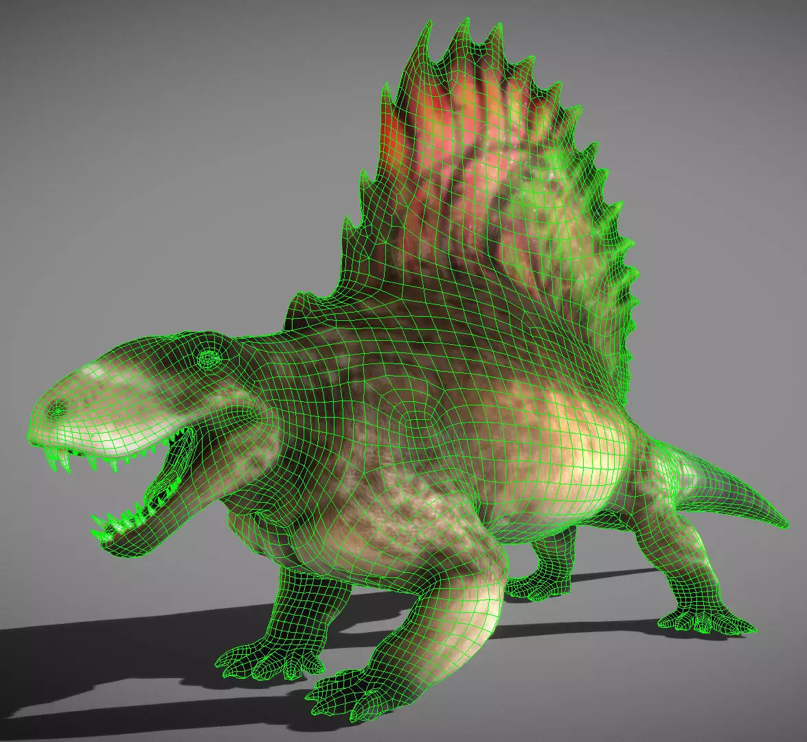 Dimetrodon  Realistic 3D Prehistoric Synapsid Low-poly 3D model_2