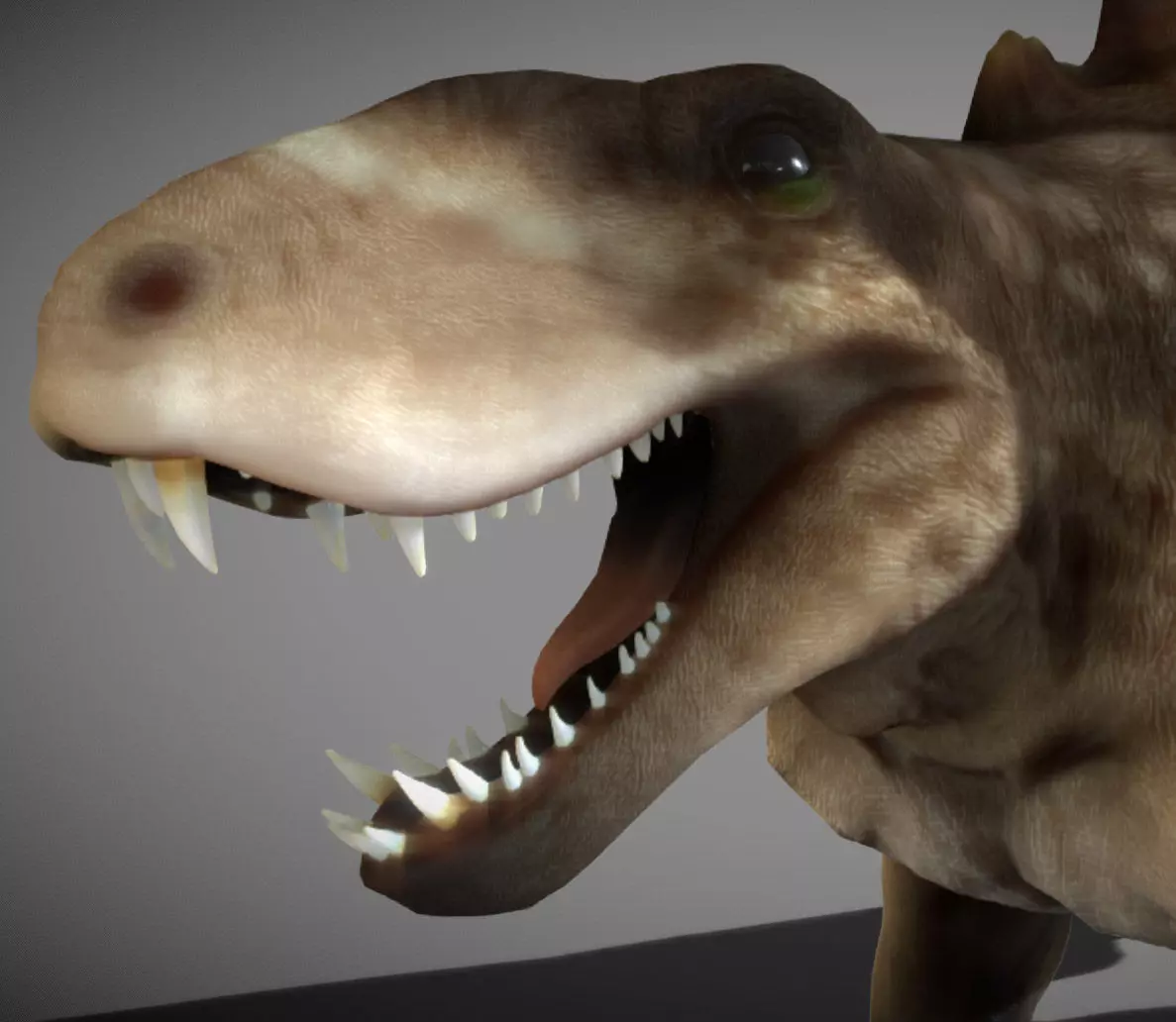 Dimetrodon  Realistic 3D Prehistoric Synapsid Low-poly 3D model_3