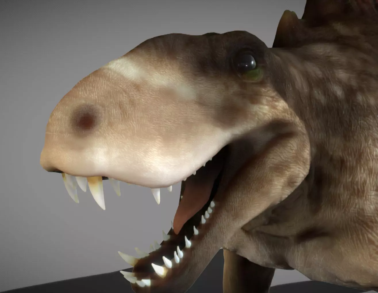 Dimetrodon  Realistic 3D Prehistoric Synapsid Low-poly 3D model_0