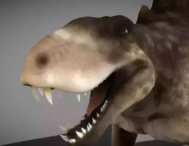 Dimetrodon  Realistic 3D Prehistoric Synapsid