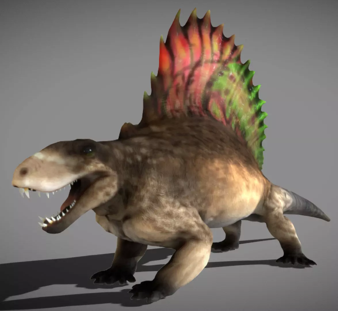 Dimetrodon  Realistic 3D Prehistoric Synapsid Low-poly 3D model_1