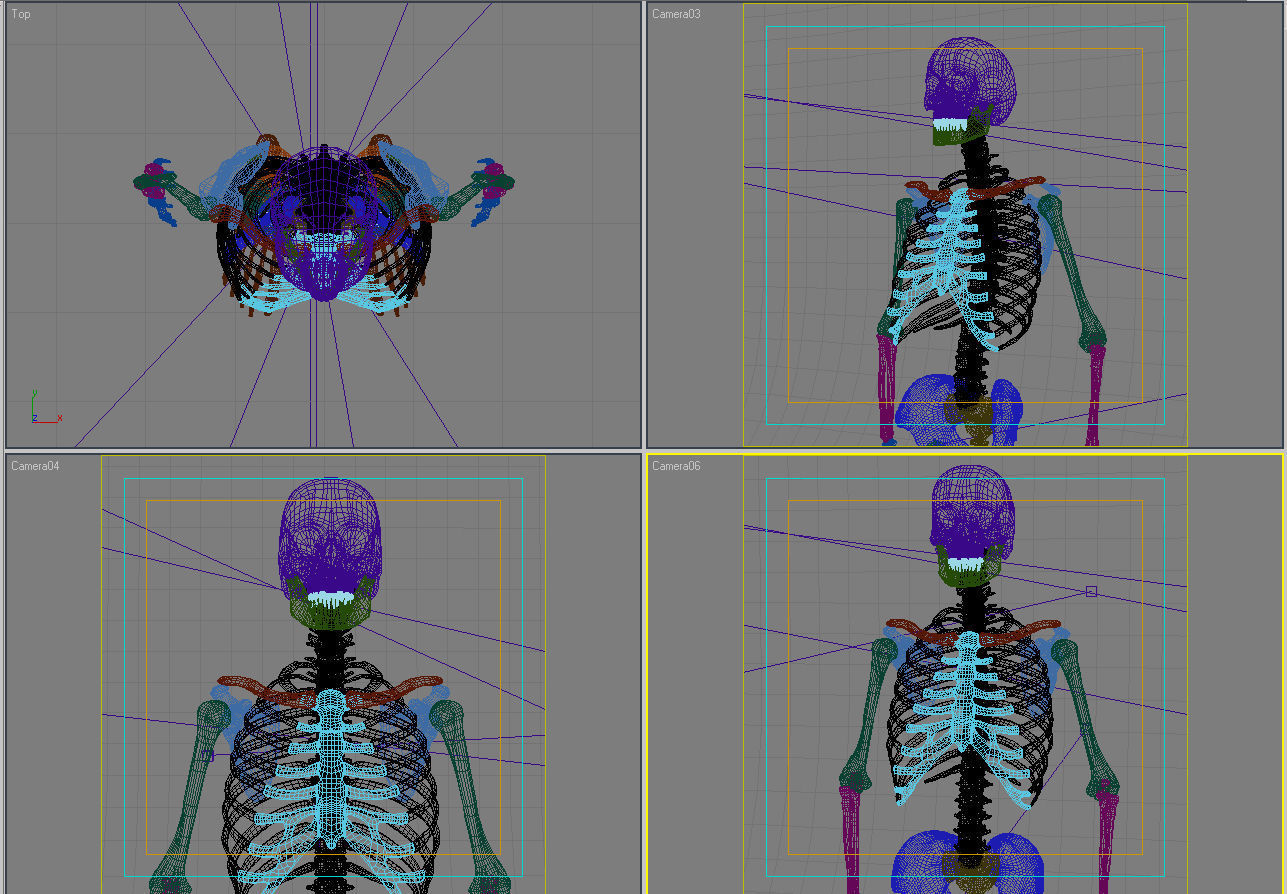 Anatomy skeleton 01 3D model_11
