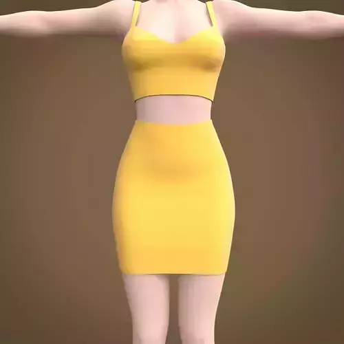 pencil mini skirt and crop singlet top