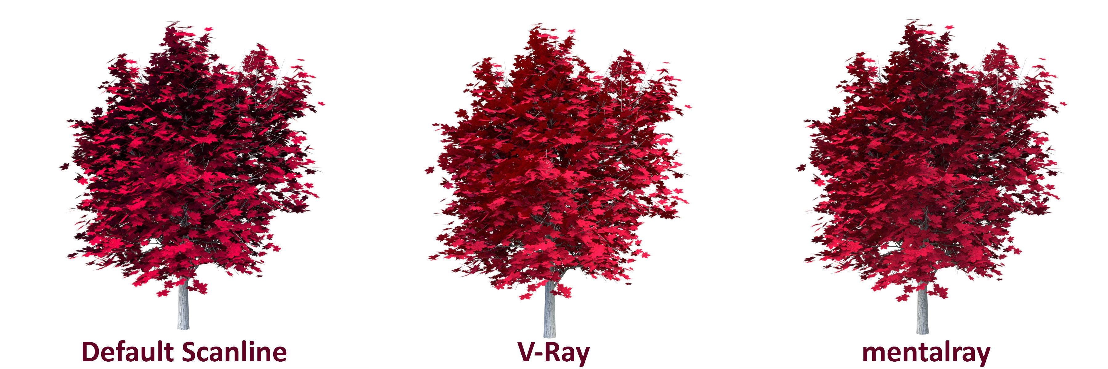 Red Maple Tree Acer Rubrum Low Poly 02 Low-poly 3D model_1