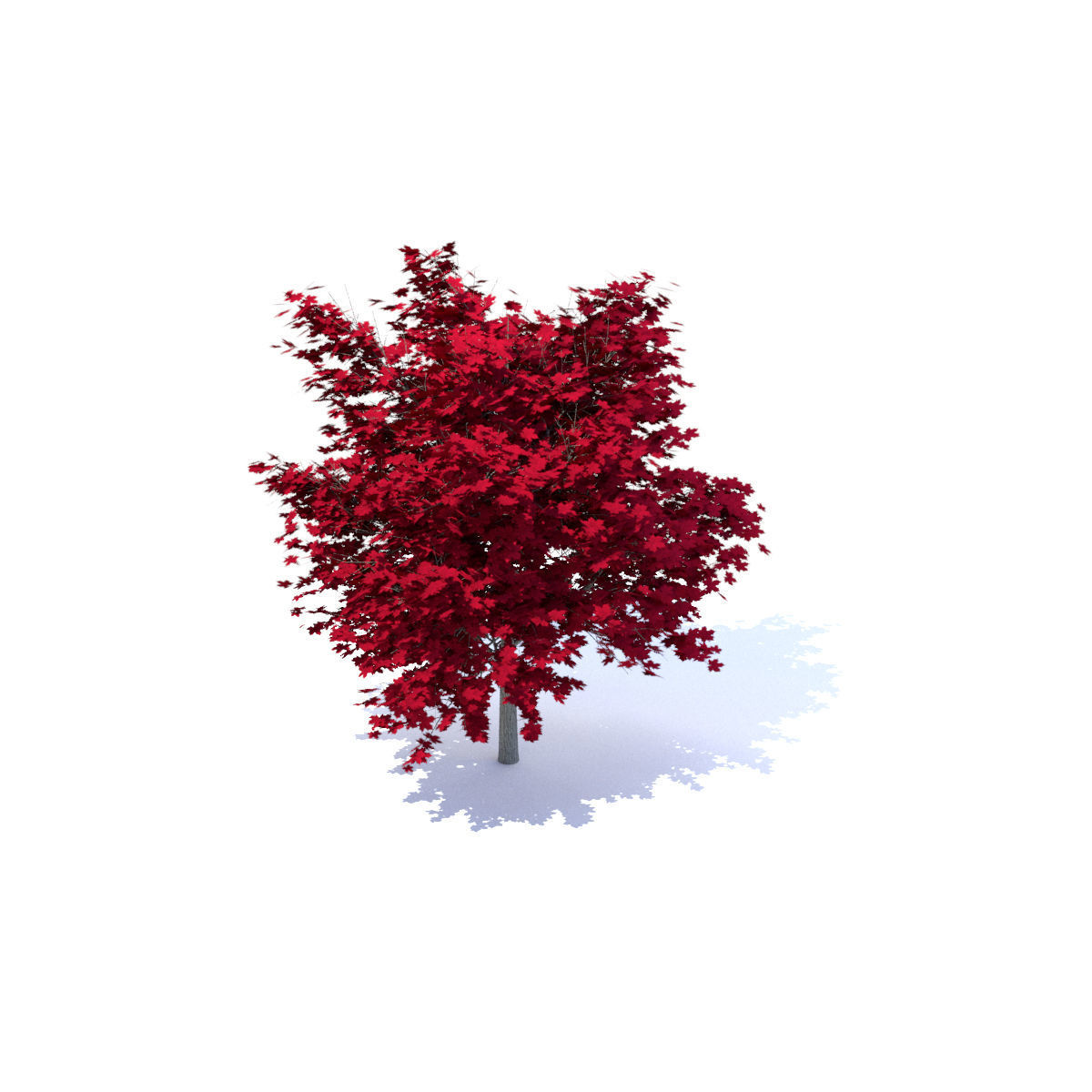 Red Maple Tree Acer Rubrum Low Poly 02 Low-poly 3D model_5