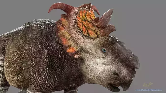 Pachyrhinosaurus dinosaur Low-poly 3D model