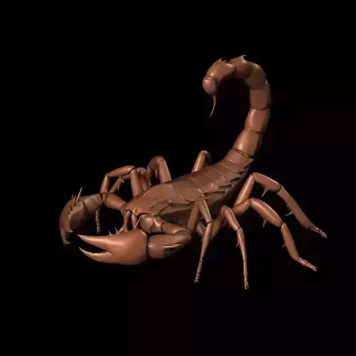 High Precision 3D  Scorpion Sculpture   3D Printing