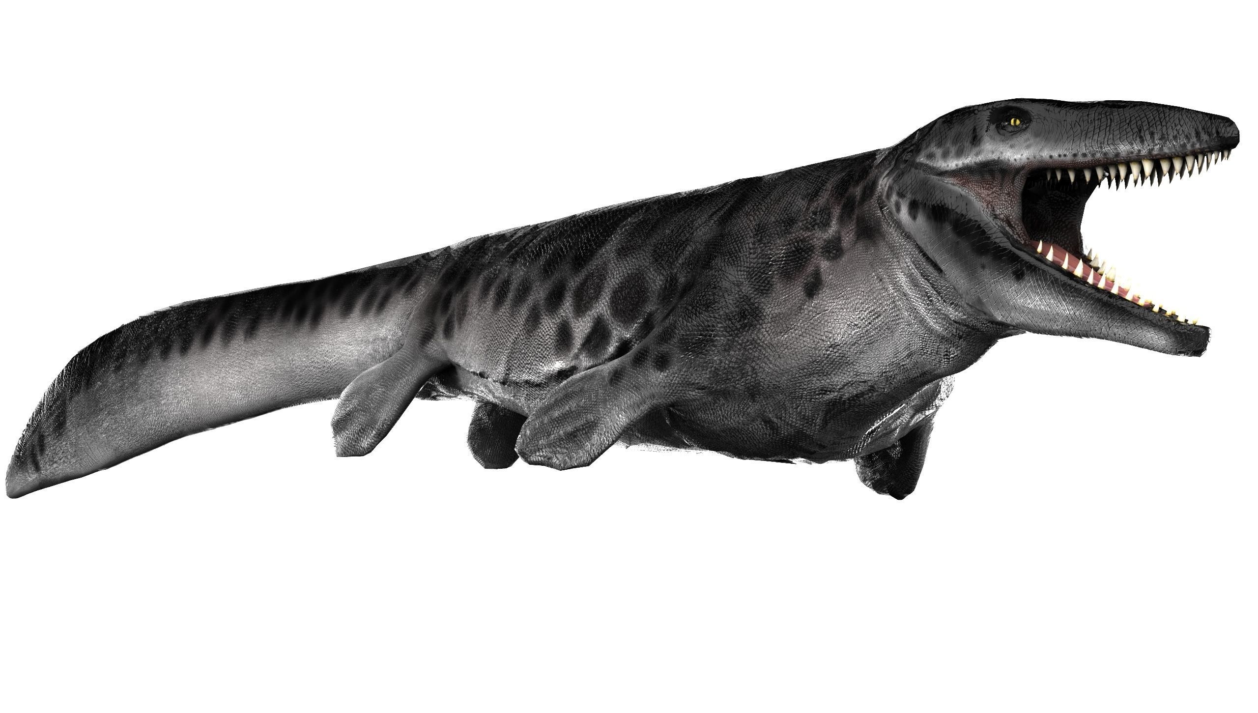 Mosasaur Tylosaurus Low-poly 3D model_2
