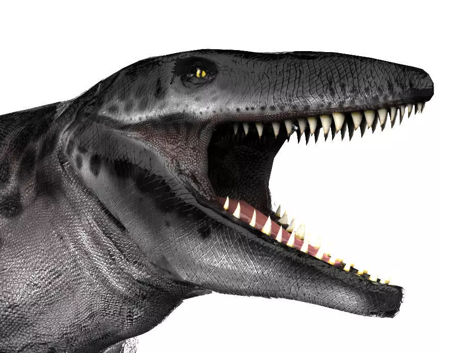 Mosasaur Tylosaurus Low-poly 3D model_0