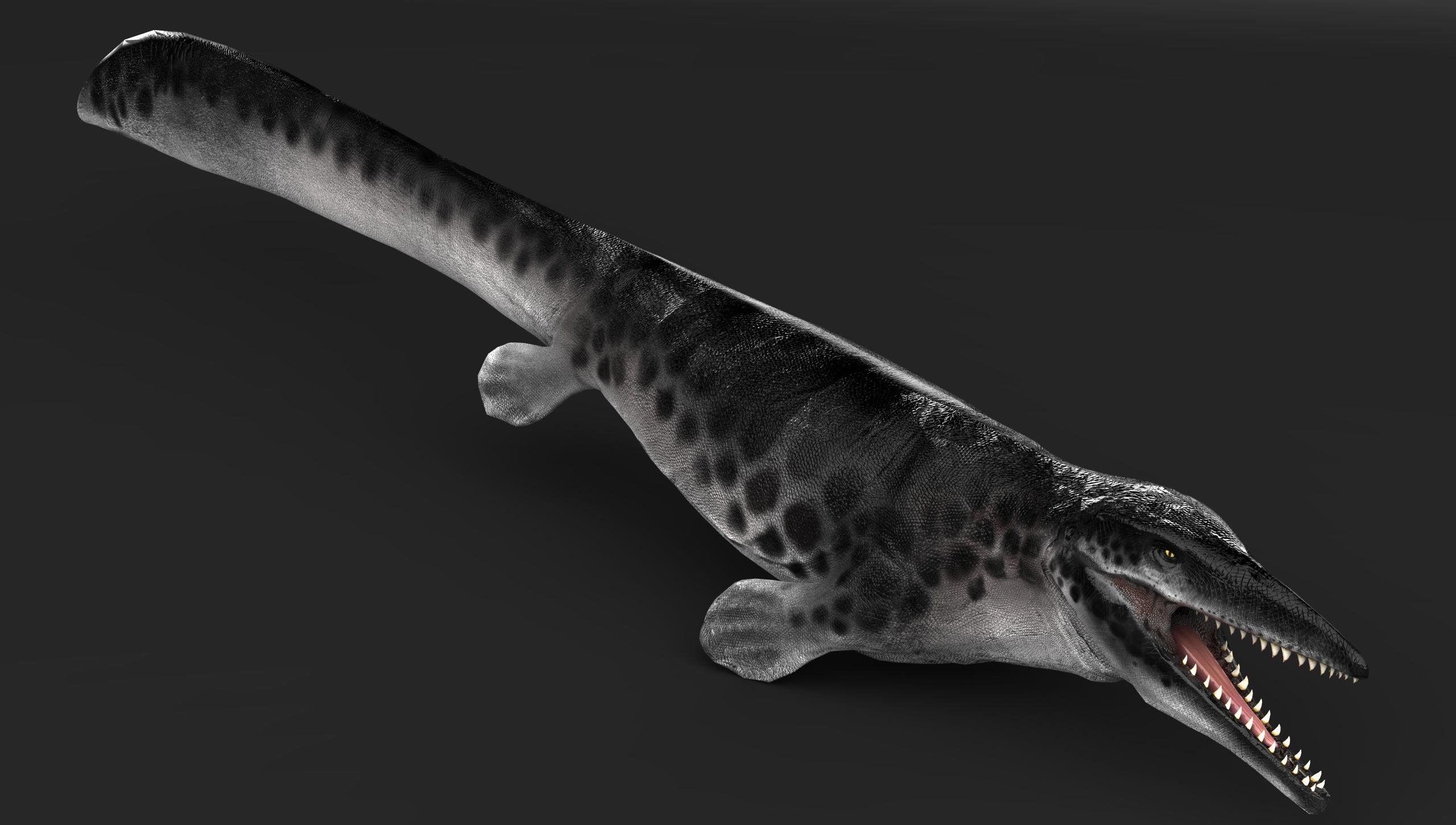 Mosasaur Tylosaurus Low-poly 3D model_3