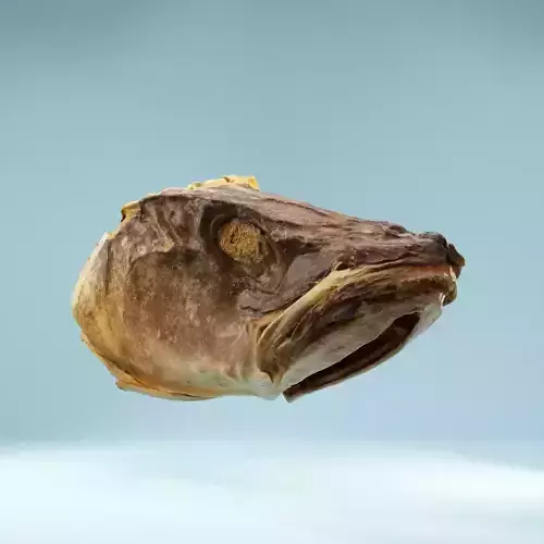 Dried Fish Head Low-poly 3D model