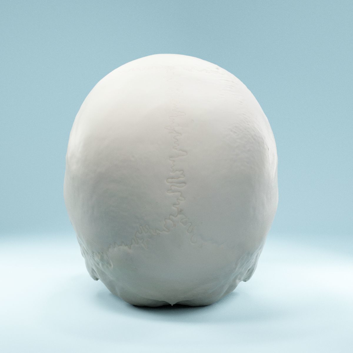 Human Skull Low-poly 3D model_3